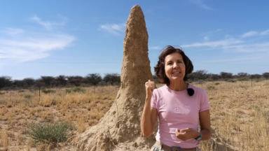 Namibia