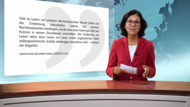 Wem vertrauen Sie in Sachen Gesundheit?