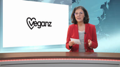 Amazing Discoveries News - Weihnachten 2021 gestrichen?