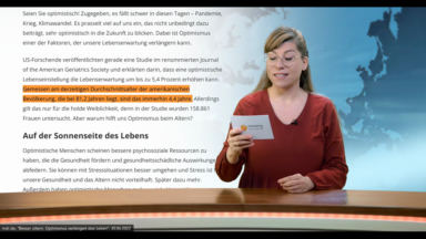 Insektenalarm