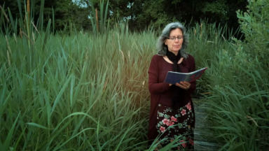 Das 1000-jährige Wüstenreich – Wenn das letzte Urteil fällt