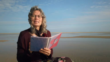 Ein Buch für alle Fälle - Die Bibel als Schutz gegen falsche Lehrer