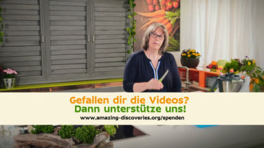 Zitronenschale einfrieren - Aromabombe auf Vorrat